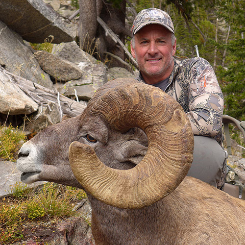 Gray Thornton with a ram